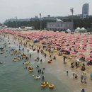 [YTN] 문정부 K방역 대단하쥬...동해안 해수욕장 피서객 몰려...방역 비상 이미지
