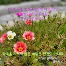 수궁펜션