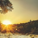 행복한 평생 교육원 | 세종시 40대, 자기 계발에 눈뜨다: 평생 교육원 인기 강좌 분석 및 성공 전략