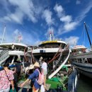 예보랑 | 베트남 하노이 날씨 예보 12월 1월 고마트 등 후기