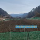 충청남도 금산군 남이면행정복지센터 네이버블로그