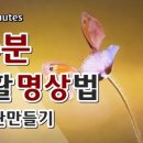 명상자세교정다이어트