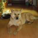 사옥축산 이미지