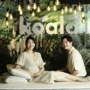 코알라홈 이미지