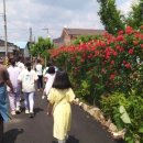 큰나무작은도서관 이미지