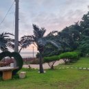 카우스톨 이미지