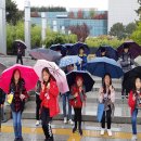 백원초교 이미지