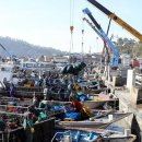 해남군-15 이미지