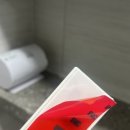 히팅솔루션 | 살균 + 건조 + UV까지 — 매일 쓰는 칫솔을 더 위생적으로”유토렉스 세라믹히팅 칫솔살균기 솔직 후기