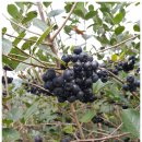 건일농장 이미지