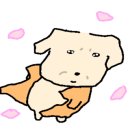 호호용담 이미지