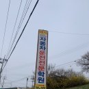 [강원/원주] 2종보통 기능시험,도로주행후기 | 운전면허 기능시험,도로주행 - 매지자동차운전면허학원