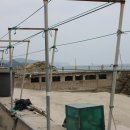 늘푸른 민박 이미지