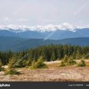 명심보감 이미지