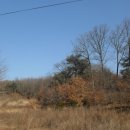 재신농장 이미지