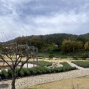 느티나무레스토랑 | 내돈내산 부산인근 양산대형카페 느티나무의 사랑 카페