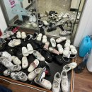 칼슨그레이시 코리아 이미지