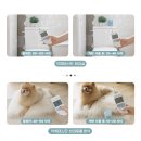 인정광고 - 속초시 | 인정광고