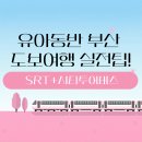 아미산파크 | 아이와 떠나는 부산여행_ SRT열차 유아동반 팁, 시티투어버스 알아보기
