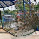 용천농장 이미지