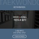 용인대 새빛 태권도장 이미지
