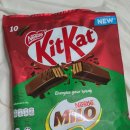 베리식스 | 킷캣X데이식스 - 하트틴, 발렌타인하트베어, 더블베리넛츠, 마일로, 킷캣타블렛 (+데이식스 포카 후기)