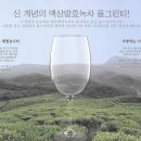 제주녹차 - All Green Tea 판매합니다 이미지