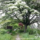 주남경로당 이미지