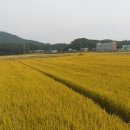 서해수산 - 중구 선녀바위로 70 | 서해수산