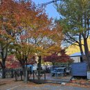 평창리버힐 | 단풍뷰가 예술인 평창리버힐 노르딕룸, 진짜 힐링 그 자체의 평창펜션 후기