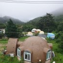 대관령동물병원 이미지