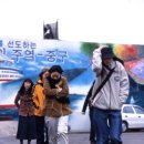 고양이를 부탁해 이미지