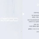 블리수(Blissoo) 이미지