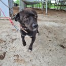 남원축협 동물병원 이미지