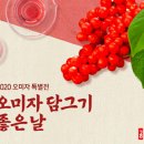 오미자 이미지