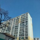 남구-131 네이버블로그