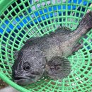 공주회수산 이미지