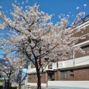 스테이 별채 이미지