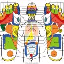 [건강정보] 손쉬운 발관리지도사(발지압) 자격증 취득 이미지
