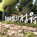 헤세의정원 이미지