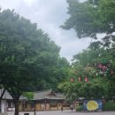 한국키즈태권도장 | 한국민속촌 방문기(with 25개월 아기)