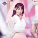 미야와키 사쿠라 카카오 검색결과