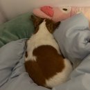 천지연스파월드 이미지