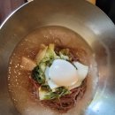 하이댕댕 펫살롱 이미지