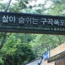 강촌화원