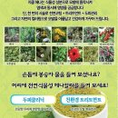 자연빛깔 네이버블로그