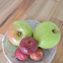 능금농장2 이미지