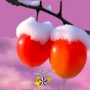 행복한하루 이미지