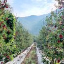 만수서로 이미지