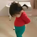 화이트하우스 네이버블로그